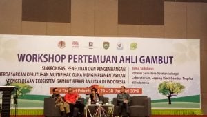 FGD , Tim Restorasi Gambut Daerah , TRGD , TRGD Sumsel