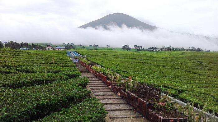 Lokasi Wisata Pagar Alam , Pagar Alam , Tempat Wisata Pagar Alam , Wisata Alam , Wisata Pagar Alam