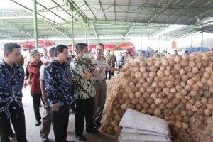 ekspor santan kelapa , Kelapa , Santan