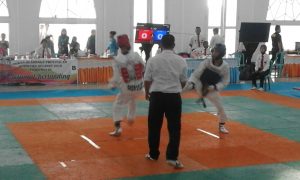 Ir. Suparman Romans , Koni Provinsi , Porprov , Taekwondo