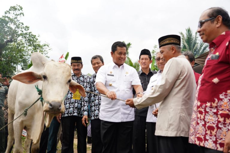 Pemkab Banyuasin , Satu KK Satu Sapi