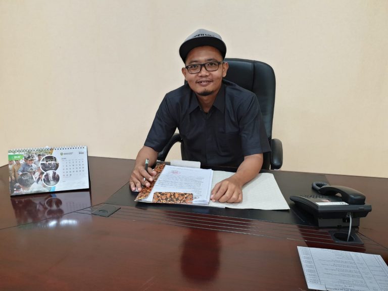 Afandi Mulya Kesuma , Lembaga Sumatera Selatan Sejahtera , UMKM