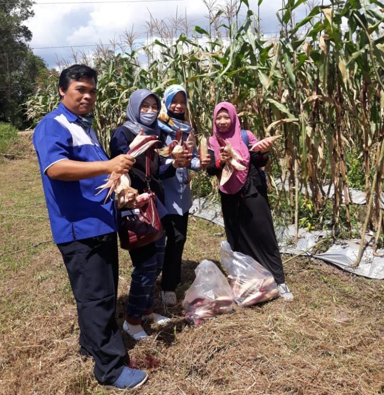 Gelar Pengabdian Masyarakat Dosen UTP Cari Solusi 