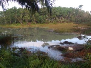 PEMBANGUNAN EMBUNG DI DESA