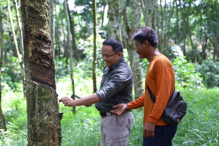 Petani karet