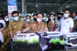 Ikan Hias , Ratu Dewa menyampaikan