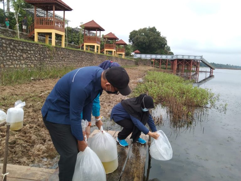 140 Ribu Benih Ikan Ditebar , Jaga Ekosistem