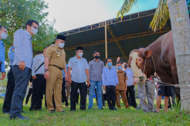 *Prioritaskan Daging Kurban Untuk Warga Isoman dan Warga kurang Mampu