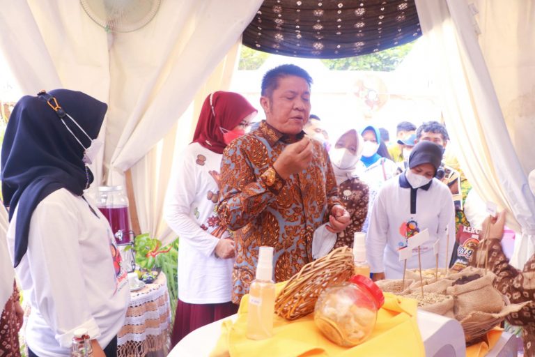 Snack Biji Karet Hingga Rempah Binaan TP PKK Muba*