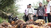 Pj Bupati H Apriyadi Peduli Petani Muba Garap Sektor Hilir