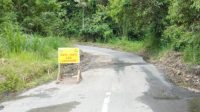 Punya 254 Tikungan, Kecepatan Max 20-40 KM/Jam Ruas Jalan Ke Objek Wisata Danau Ranau Rawan