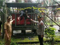 Warga Desa Tanjung Raya Kecamatan Sanga Desa di gegerkan penemuan mayat tanpa identitas yang tersangkut di pagar area gardu tower XL