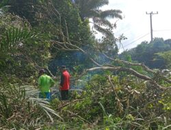 Masyarakat bersama PT. Medco Gotong Royong di Jalur Jaringan PLN di Lokasi MOF Nusa Serasan
