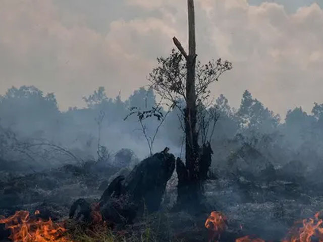 Gugatan Warga Terkait Karhutla , perbuatan melawan hukum